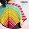 Caron Simply Soft 3Pack Yarn 3oz Gauge 4 Medium Worsted 100 Acrylic Light Country Peach Machine Wash Dry