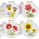 Kraftex Stamped Cross Stitch Kits for Beginners Flower Theme 675 Inch 4 Pack 1 x Embroidery Hoop Embroidery Needlepoint Patterns for Adults Includes Poppy Rose Sunflower and Pansy