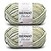 Bernat Blanket 2 Pack of 220 Yards105 oz Grassy 100 Polyester Yarn