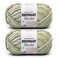 Bernat Blanket 2 Pack of 220 Yards105 oz Grassy 100 Polyester Yarn