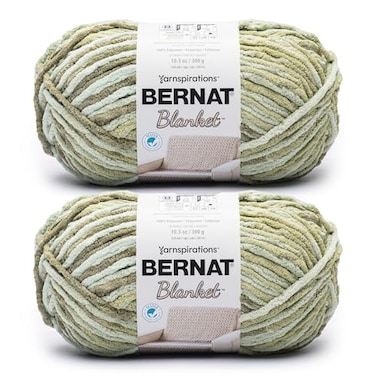 Bernat Blanket 2 Pack of 220 Yards105 oz Grassy 100 Polyester Yarn