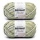 Bernat Blanket 2 Pack of 220 Yards105 oz Grassy 100 Polyester Yarn