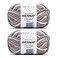 Bernat Blanket Extra Chunky Chenile Acrylic Yarn Pack of 2