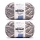 Bernat Blanket Extra Chunky Chenile Acrylic Yarn Pack of 2
