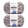 Bernat Blanket Extra Chunky Chenile Acrylic Yarn Pack of 2