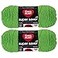 Red Heart Bulk Buy Super Saver 2pack Spring Green 7 oz each skein