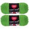 Red Heart Bulk Buy Super Saver 2pack Spring Green 7 oz each skein