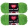 Red Heart Bulk Buy Super Saver 2pack Spring Green 7 oz each skein