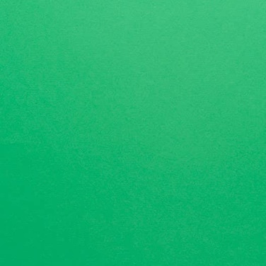 Hamilco Colored Scrapbook Cardstock Paper 12x12 Card Stock Paper 65 lb Cover 25 Pack Brilliant Green