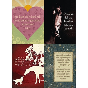 Tree-Free Greetings TreeFree Greetings Hoof and Paw Prints Pet Sympathy Card Assortment 5 x 7 Inches 8 Cards and Envelopes per Set GA31614