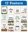 Carson Dellosa Grow Together 12pc Motivational Poster Set 85 x 11 Flowers Plants Nature Decor Classroom Posters for Bulletin Board Wall Decor Positive Affirmation