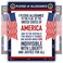 Young N Pledge of Allegiance poster LAMINATED American flag print for classroom dcor chart usa sign 15x20