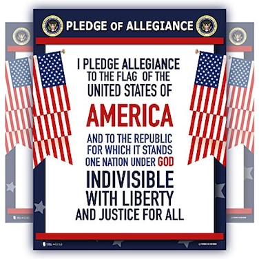 Young N Pledge of Allegiance poster LAMINATED American flag print for classroom dcor chart usa sign 15x20