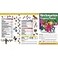 Flipside FLIPSIDE Kindergarten Progress Reports 10PK