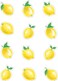 Teacher Created Resources Lemon Zest Mini Accents TCR8481