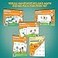 Channie's Channies AllinOne Visual Handwriting Math Workbook Set for PreKindergarten 1st Grade Elementary School Students 5 Pack