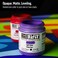 GOLDEN SoFlat Matte Acrylics Burnt Umber 2 fl oz Jar Professional Acrylic Paint Opaque
