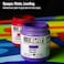 GOLDEN SoFlat Matte Acrylics Red Violet 4 fl oz Jar Professional Acrylic Paint SemiOpaque