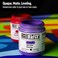 GOLDEN SoFlat Matte Acrylics Ultramarine Blue 2 fl oz Jar Professional Acrylic Paint SemiOpaque