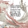 Pouring Masters POURING MASTERS Ballet Slipper Acrylic Ready to Pour Pouring Paint Premium 8Ounce PreMixed WaterBased for Canvas Wood Paper Crafts Tile Rocks and More