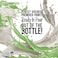 Pouring Masters POURING MASTERS Celery Green Acrylic Ready to Pour Pouring Paint Premium 8Ounce PreMixed WaterBased for Canvas Wood Paper Crafts Tile Rocks and More
