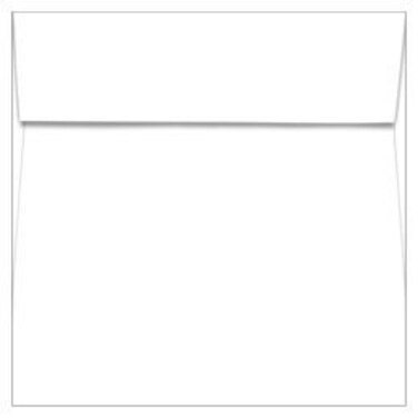 Dactek Fingerprint Card Envelopes 5ctpack