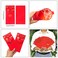 Honbay 10PCS Chinese Red Envelopes Lucky HongBao Money Pockets 177x85cm697x335inch Congratulations and Prosperity Blessing