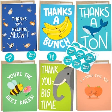 Sleazy Greetings 12 Funny Thank You Cards 4 x 6 Pun Greeting Note Cards w Kraft Envelopes Bulk Boxed Set Bundle Assortment of Fun Notecards Kid Thank You Cards Great for Gratitude Employee Recognition