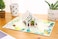 Liif 3D Pop Up Birthday Card for Women Greenhouse Floral Greeting Card Unique Gift for Mom Wife Sister Her Includes Message Note Envelope