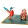Bajayvovo Hummingbird Pop Up Card Birthday Card 3D Greeting Card for Kids Mom Dad Wife Friends Colleague Birthday Mothers Day Fathers Day Anniversary Thank You Get Well Retirement All Occasions