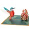 Bajayvovo Hummingbird Pop Up Card Birthday Card 3D Greeting Card for Kids Mom Dad Wife Friends Colleague Birthday Mothers Day Fathers Day Anniversary Thank You Get Well Retirement All Occasions