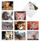 The Best Best Card Co 10 All Occasion Blank Cat Cards 4 x 512 Inch Cute Assorted Bulk Card Set Smitten Kittens for Animal Lovers M6485OCB