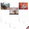 The Best Best Card Co 10 All Occasion Blank Cat Cards 4 x 512 Inch Cute Assorted Bulk Card Set Smitten Kittens for Animal Lovers M6485OCB