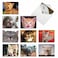 The Best Best Card Co 10 All Occasion Blank Cat Cards 4 x 512 Inch Cute Assorted Bulk Card Set Smitten Kittens for Animal Lovers M6485OCB