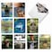 The Best Best Card Co 20 Bulk Wildlife Blank Cards Boxed 4 x 512 Inch 10 Designs 2 Each Aspirations for Animal Lovers AM7076OCBB2x10NB