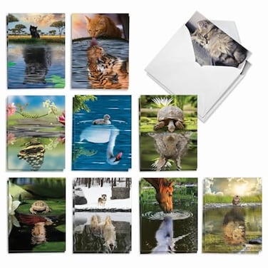 The Best Best Card Co 20 Bulk Wildlife Blank Cards Boxed 4 x 512 Inch 10 Designs 2 Each Aspirations for Animal Lovers AM7076OCBB2x10NB
