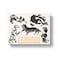 Compendium Cards with Adorable Dog Illustrations 12 Note Cards for Appreciation Friendship