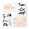 Compendium Cards with Adorable Dog Illustrations 12 Note Cards for Appreciation Friendship