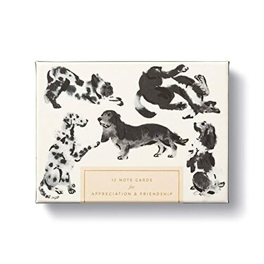 Compendium Cards with Adorable Dog Illustrations 12 Note Cards for Appreciation Friendship