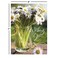 Current Florals Get Well Cards Get Well Soon Cards Assortment Set of 20 10 Unique Designs Large 5 x 7 Inch Cards Sentiments Inside For Women Men