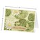 Current Natures Sanctuary Happy Birthday Greeting Card Set Value Pack of 20 Cards With White Envelopes 10 Designs Large 5 x 7 Assortment