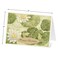 Current Natures Sanctuary Happy Birthday Greeting Card Set Value Pack of 20 Cards With White Envelopes 10 Designs Large 5 x 7 Assortment