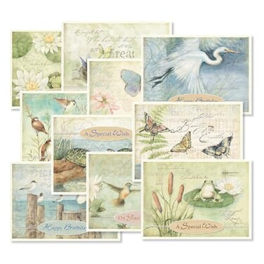 Current Natures Sanctuary Happy Birthday Greeting Card Set Value Pack of 20 Cards With White Envelopes 10 Designs Large 5 x 7 Assortment