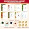 Decorably 40 Pack Foil Embossed 5x7in Assorted Christmas Cards with Envelopes and Stickers 8 Elegant Holiday Designs Seasons Greetings for Friends Loved Ones with Printed Message Gifting Mailing