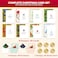 Decorably 40 Pack Foil Embossed 5x7in Assorted Christmas Cards with Envelopes and Stickers 8 Elegant Holiday Designs Seasons Greetings for Friends Loved Ones with Printed Message Gifting Mailing