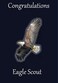 Aquinas Eagle Glowing Eagle Congratulations Card for Eagle Scout Gift or Present