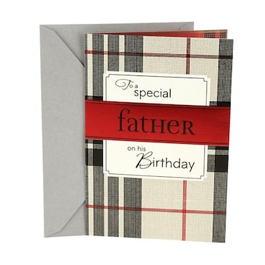 Hallmark Birthday Greeting Card for Dad Wonderful Man