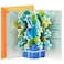 Hallmark Paper Wonder Pop Up Birthday Card Someone to Celebrate