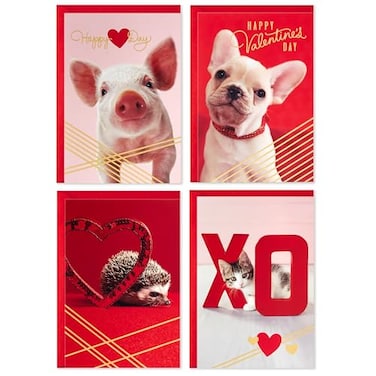 Hallmark Valentines Day Cards for Kids School Puppy Kitten Pig Hedgehog 24 Classroom Valentines with Envelopes