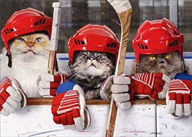 Avanti Hockey Cats Funny Humorous Birthday Card